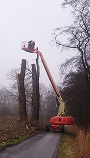 Baumfllarbeiten